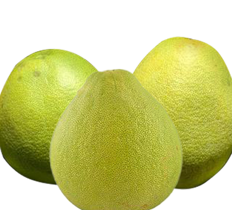 Pomelo